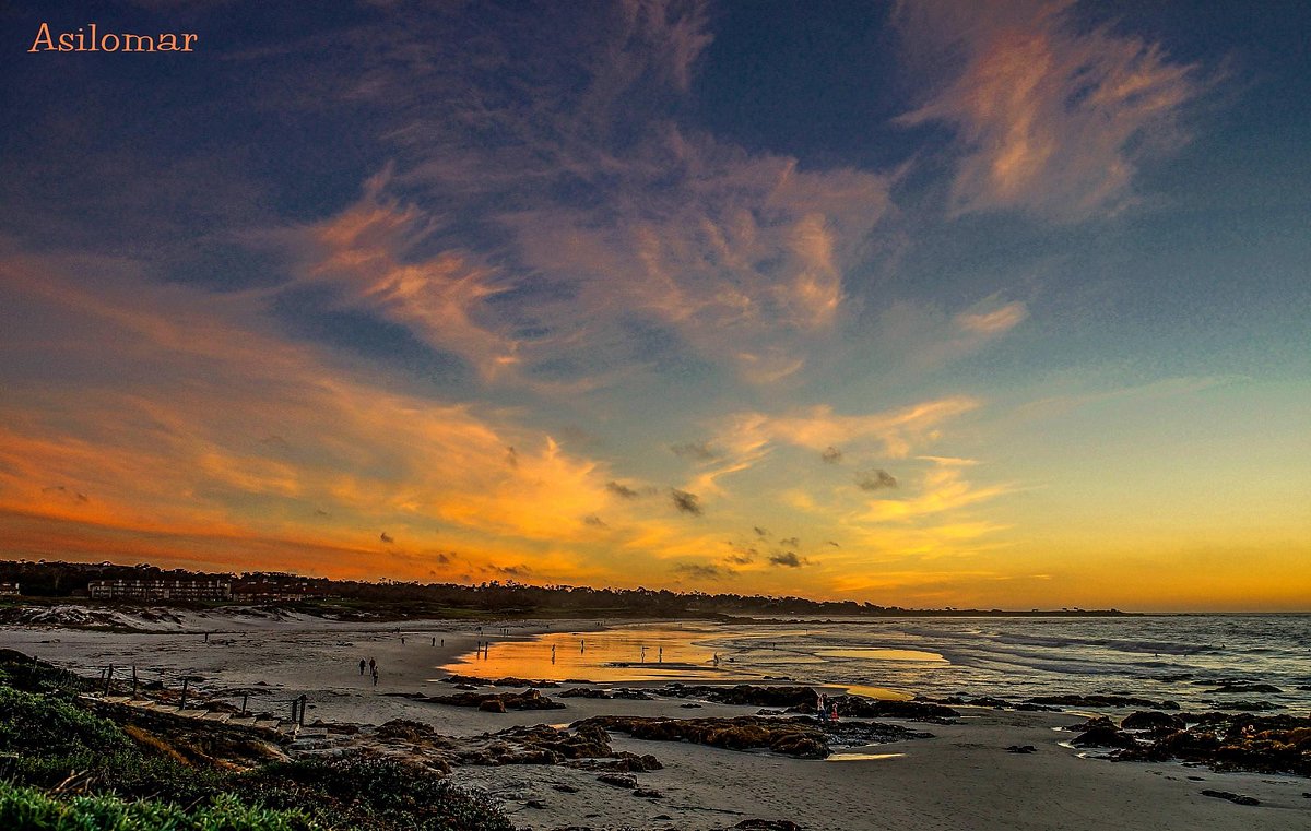Asilomar State Beach