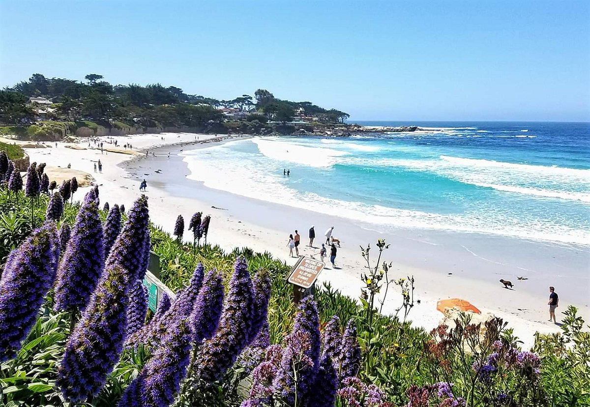 Carmel Beach
