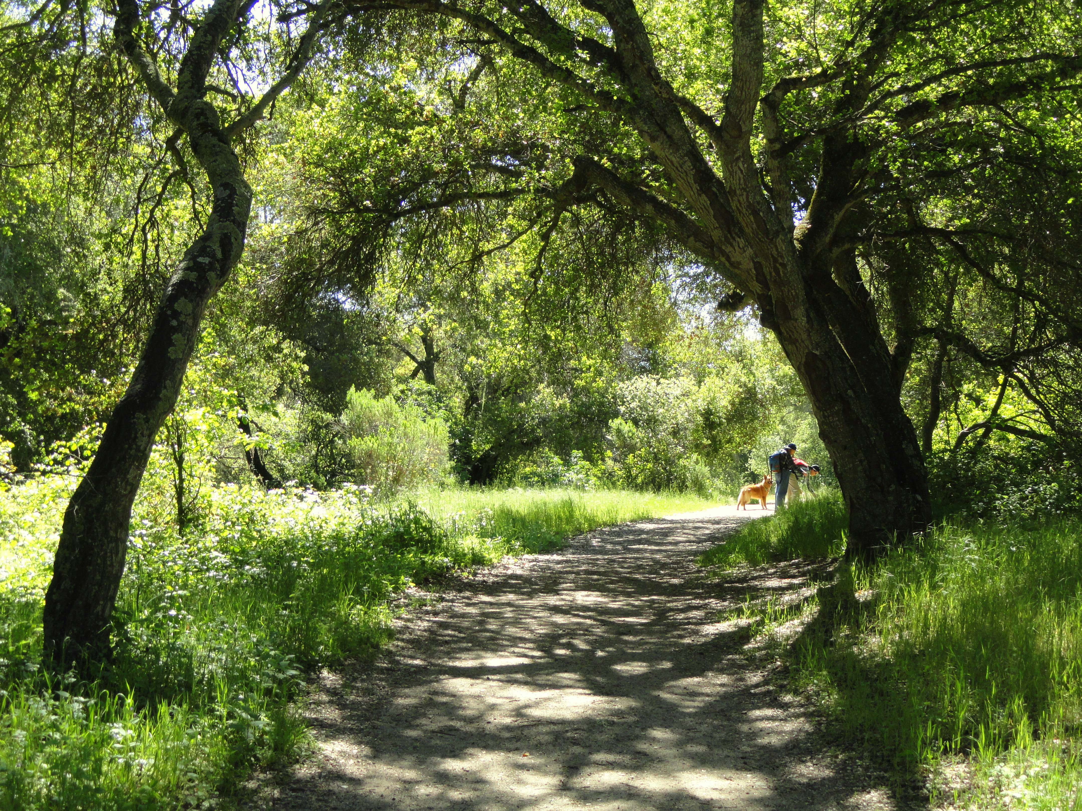 Garland Ranch Regional Park